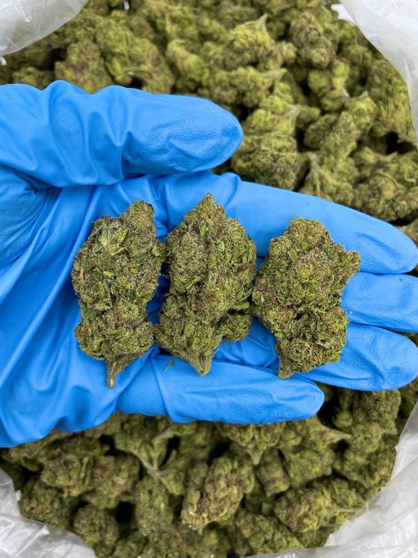 FRUITY BUBBLE GUM - AL303BG