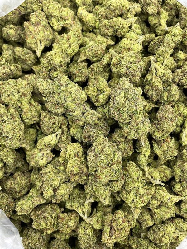FRUITY BUBBLE GUM - AL303BG - Image 2