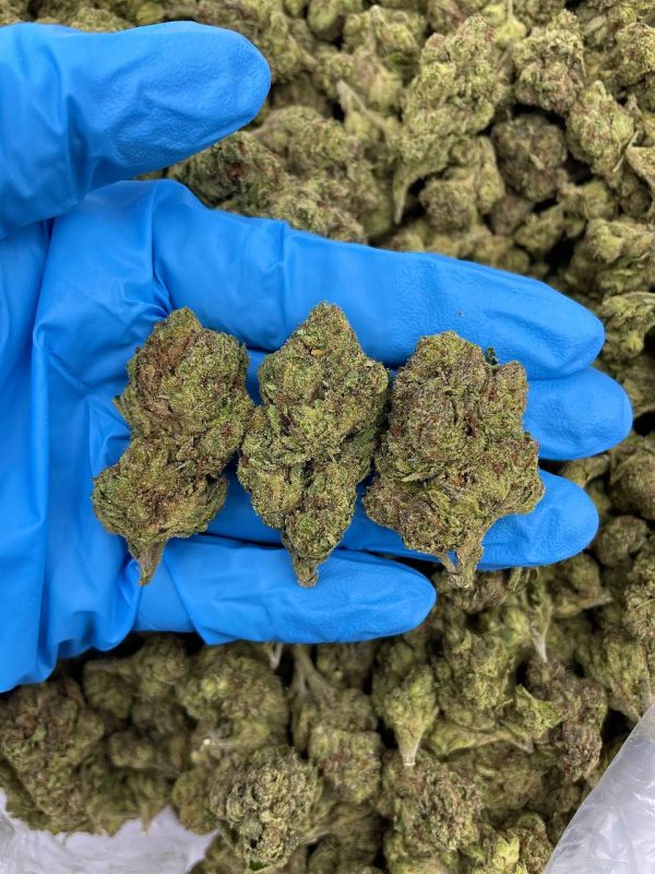 CANDY SLURRICANE - AL303SL