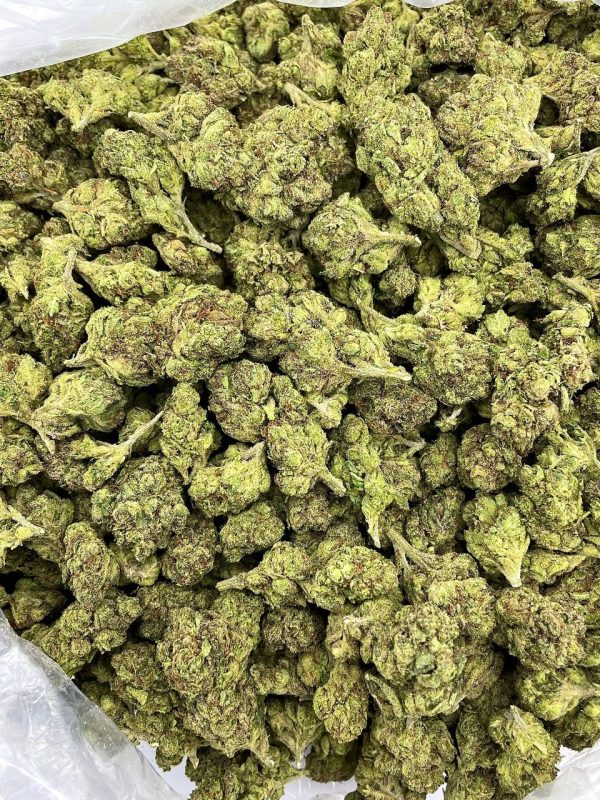 CANDY SLURRICANE - AL303SL - Image 2