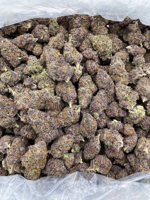 CITRUS SNOW GELATO - FL214G7 - Image 2