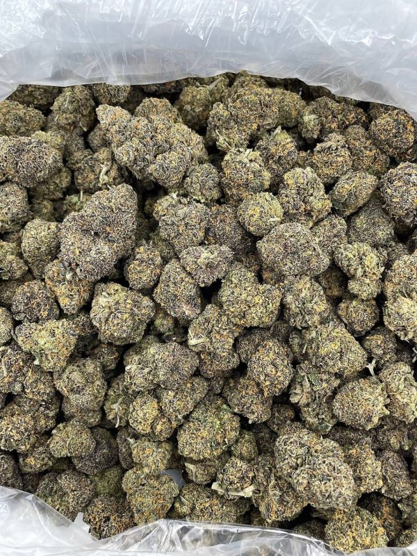 RAINBOW SHERBERT - HB225RS - Image 2