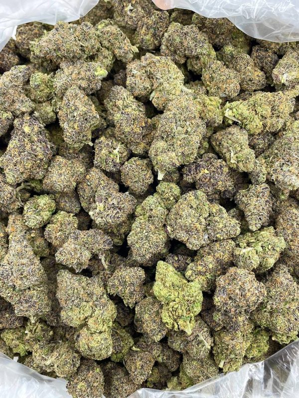 GEMMED GELATO - HB225GX - Image 2