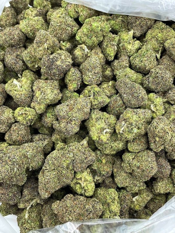 FRUIT LOOP MOCHI - HB225MO - Image 2