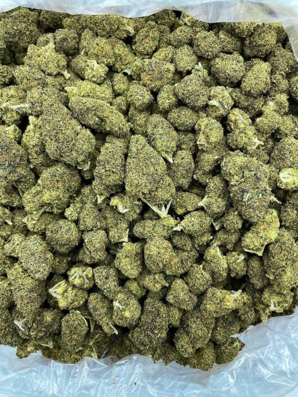 GRAPE ZKITTLES - HB813GP - Image 2