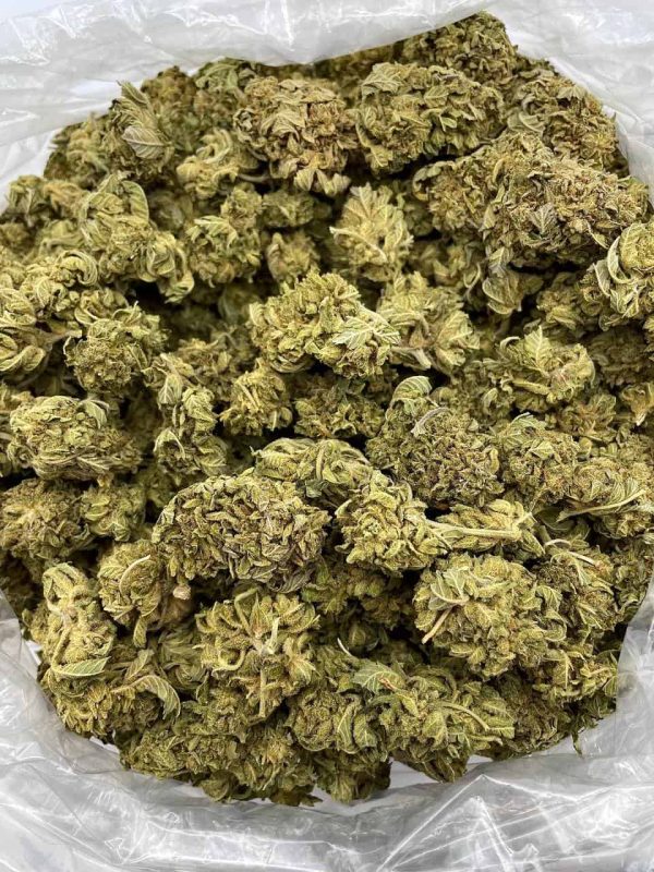 PLATINUM HERB- KF520PL - Image 2