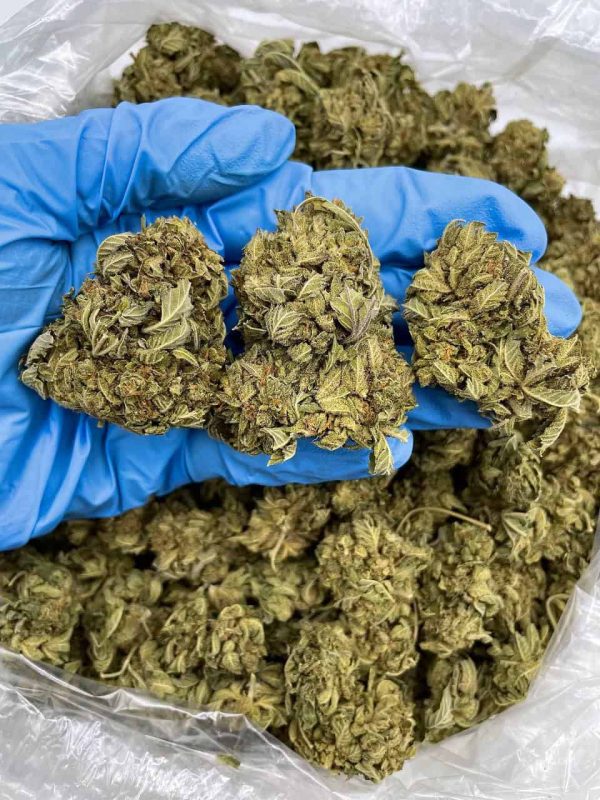 PLATINUM HERB- KF520PL