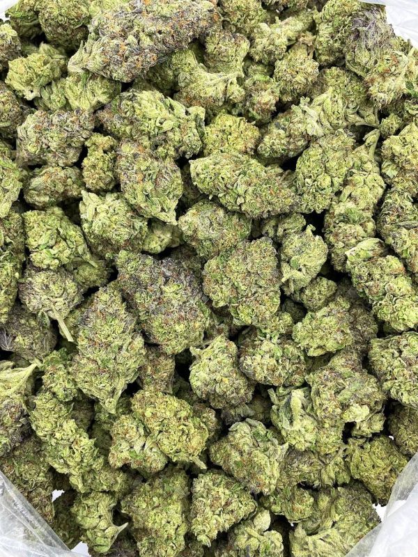 GRAPE APE SURPRISE - LU303G3 - Image 2