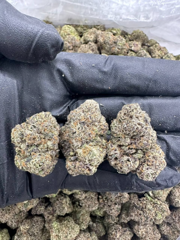 CLOUDBERRY HAZE - MC801WG