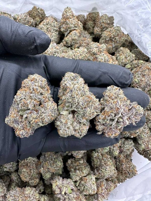 WHITE GELATO CAKE - MC822WG