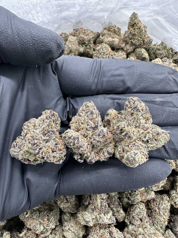 LEMON CHERRY GELATO - MC915SLC