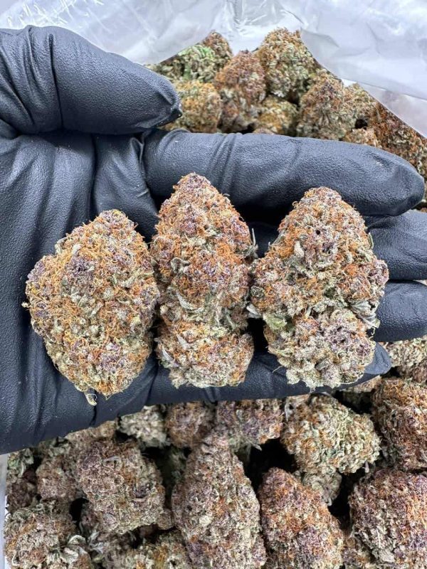 SUPER BOOF CHERRY - MC913SB