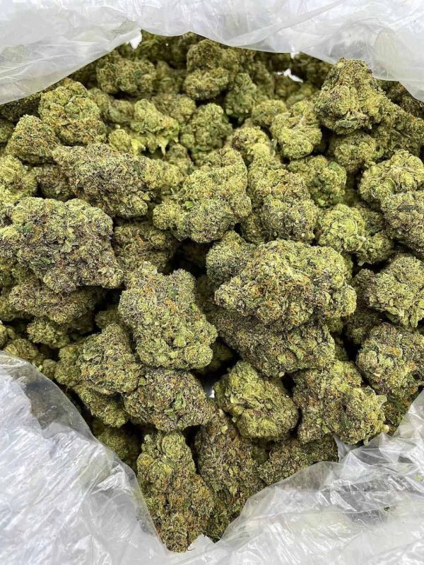 PURPLE CITRUS CRUSH - PH1127G4 - Image 2