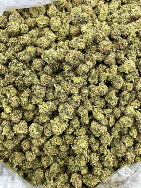 STRAWBERRY SHORTCAKE - PH220SC - Image 2