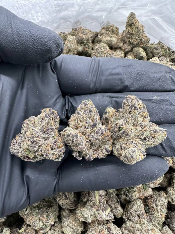 SOUR LEMONADE - MC506SLC