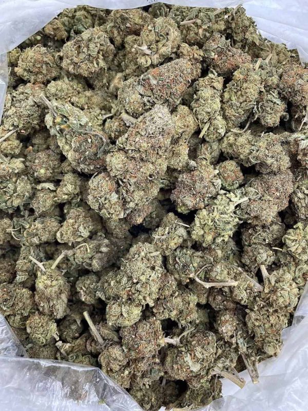 KUMQUAT KUSH - RU1007PF - Image 2