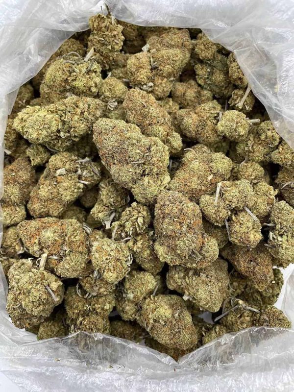 LEMON DROP DREAM - RU1007PL - Image 2
