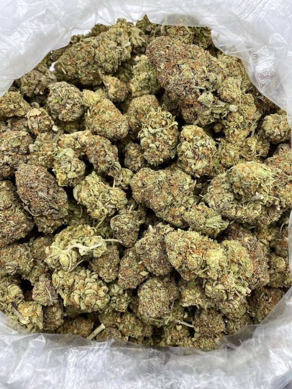 NEBULA OG - RU1007PP - Image 2