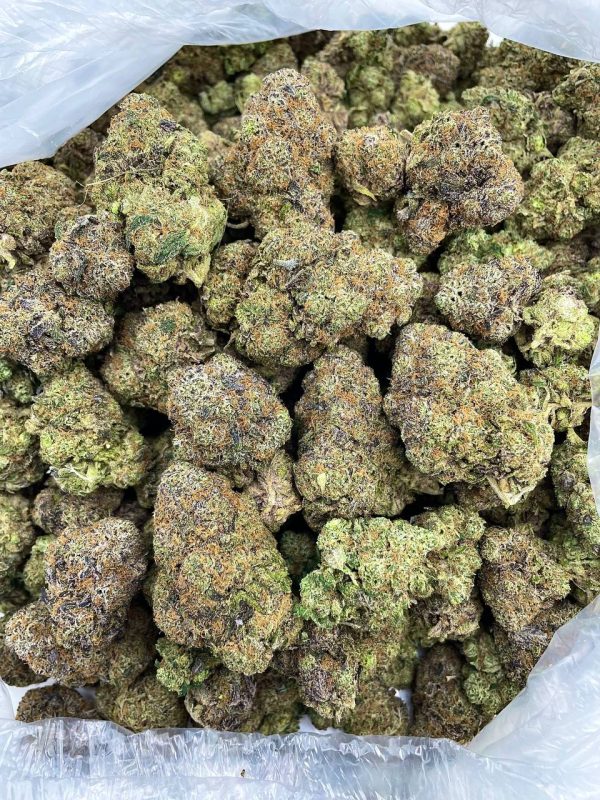 GRAPEFRUIT GELATO - RU206RP - Image 2