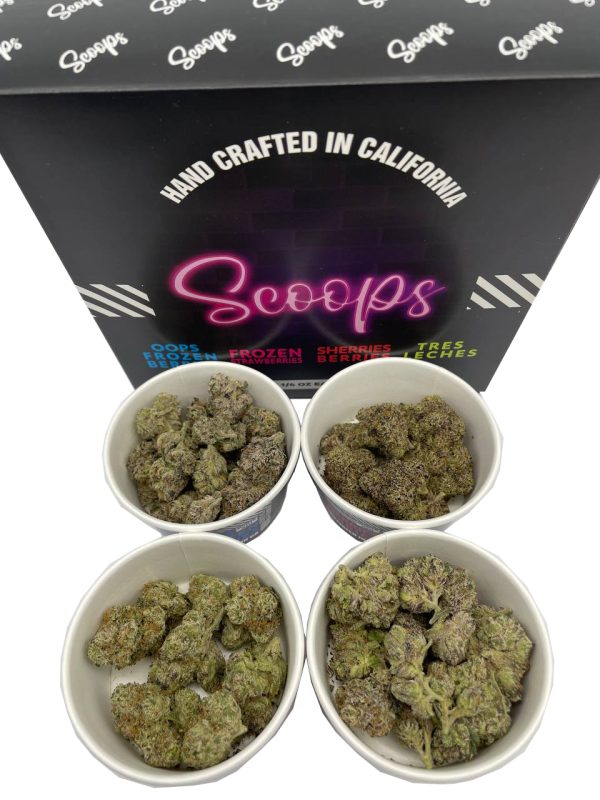 SCOOPS Exotics Flower - Image 2