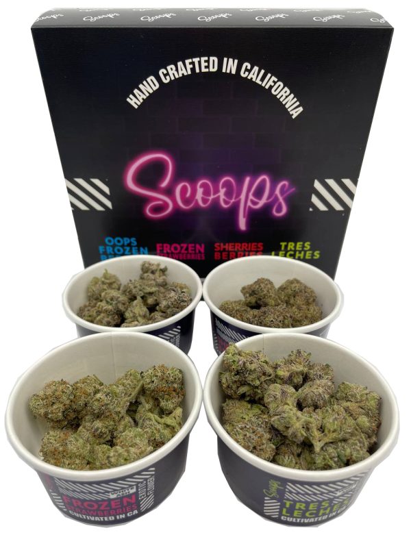 SCOOPS Exotics Flower - Image 4