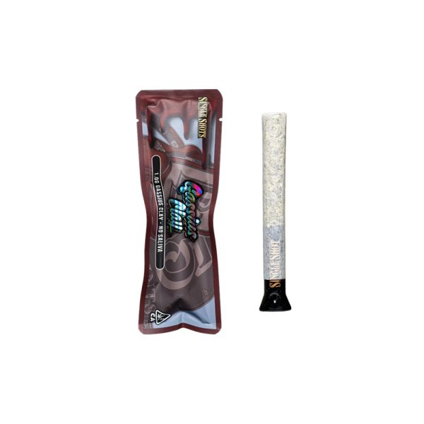 BACKPACKBOYZ - SINGLE SHOT PREROLL