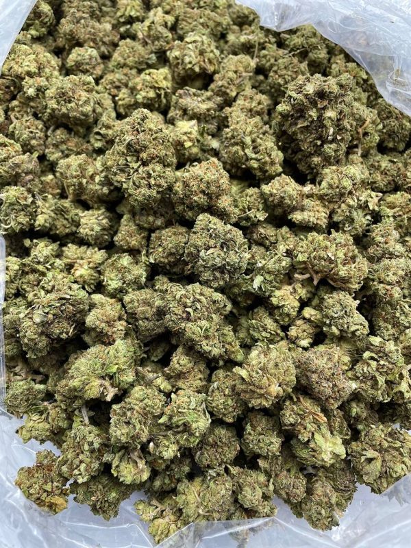 FIRE OG - TP1028OG - Image 2