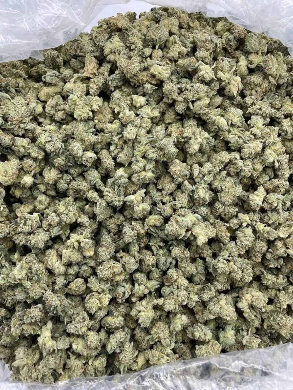 SUPER GLUE - VH917GS