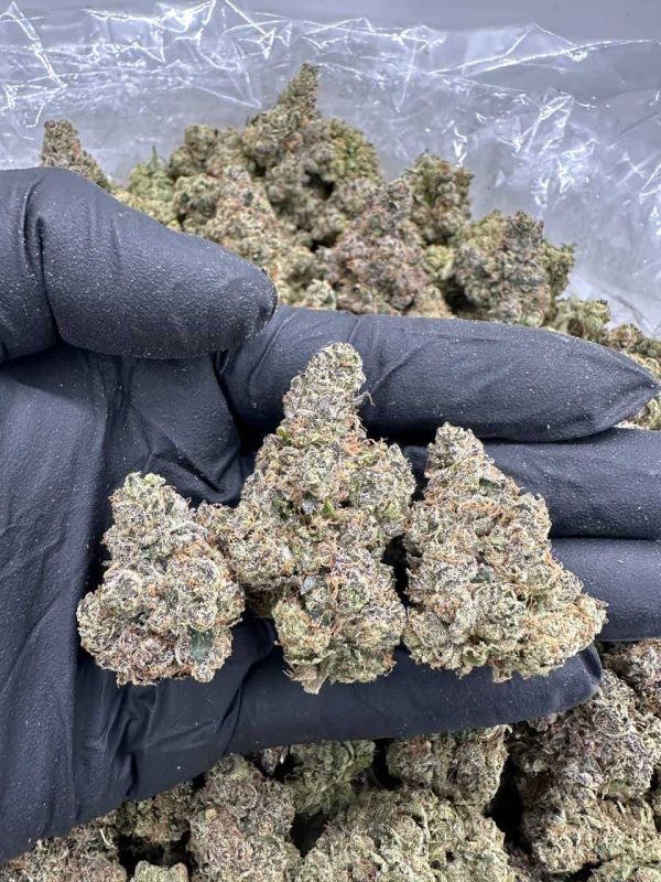 FROSTED FLUFF - MC101BA