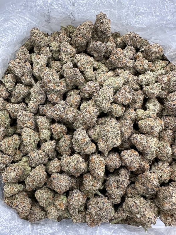 HAWAIIAN PUNCH - MC1120HP - Image 2