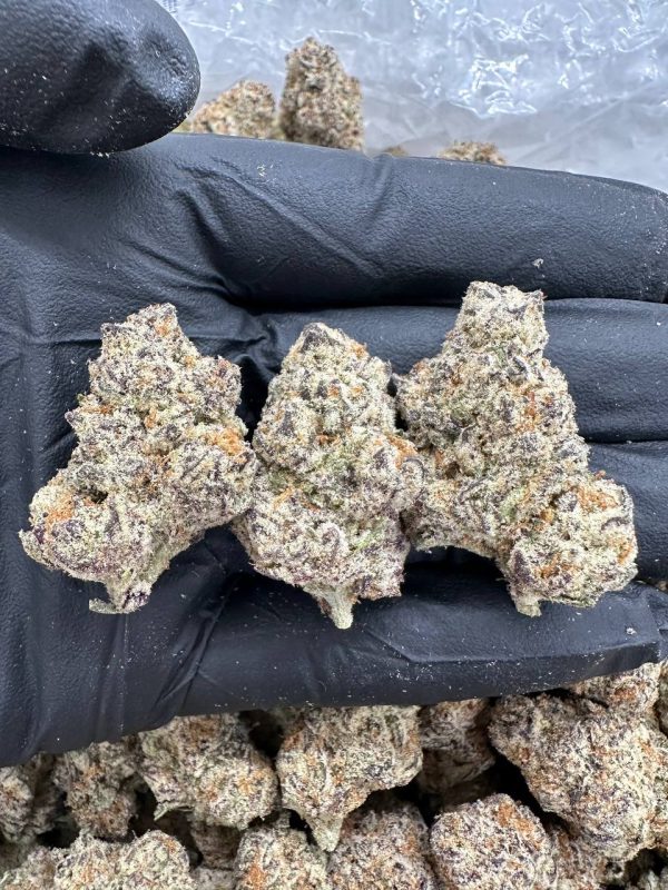 HAWAIIAN PUNCH - MC1120HP