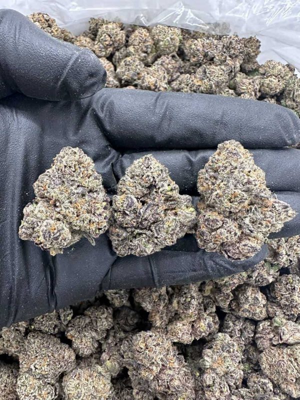 BANANA FOSTER PIE - MC801BM