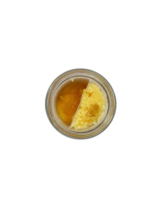 SNOOZE DROOL: BADDER + SUGAR - Image 3
